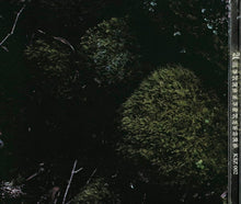 Downfall Of Nur : Umbras E Forestas (CD, Album, Ltd)