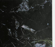 Downfall Of Nur : Umbras E Forestas (CD, Album, Ltd)