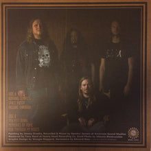 Desert Suns : Desert Suns (LP, Album, Ltd, Cle)