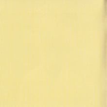 Steve Savage (9) : Young Isaac (CD)