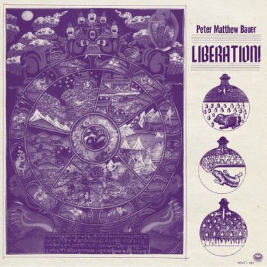 Peter Matthew Bauer* : Liberation! (CD, Album)