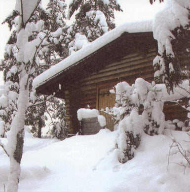 Mi And L'Au : Mi And L'Au (CD, Album)