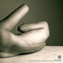 Theologian : A Means By Which To Break The Surface Of The Real (LP, Album)