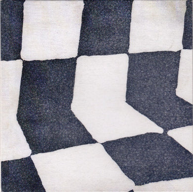 Ducktails : The Flower Lane (CD, Album)