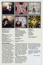 The Hives : Tussles In Brussels (DVD-V, Multichannel)