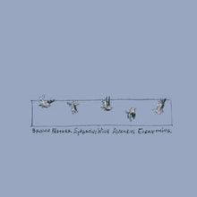 Brown Feather Sparrow : Wide Awakens Everything (CD, Album)