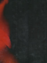Depeche Mode : Touring The Angel: Live In Milan (2xDVD-V, Multichannel, PAL + CD)