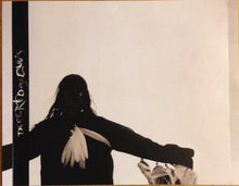 Metallic Falcons : Desert Doughnuts (CD, Album)