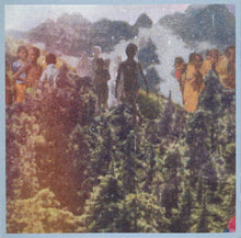 Vinyl Williams : Lemniscate (CD, Album)