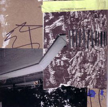 Psychedelic Horseshit : Who Let the Dogs Out? (7", Single)