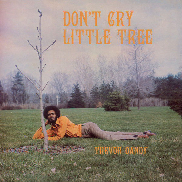 Trevor Dandy : Don't Cry Little Tree (CD, Album)