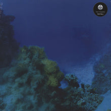 Tiny Fingers : The Fall (LP, Album, RE)