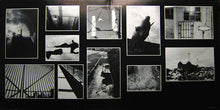 Pink Floyd : Animals (LP, Album, Gat)