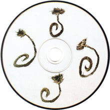 Kathleen Baird : Lullaby For Strangers (CD, Album)