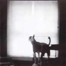 The Baptist Generals : Dog (CD, Album)