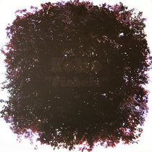 Rollo (2) : Pinhole (LP, Ltd)