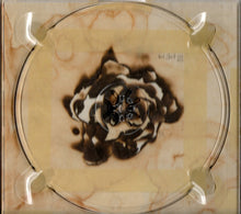 T.Raumschmiere : Radio Blackout (CD, Album, Enh, Dig)
