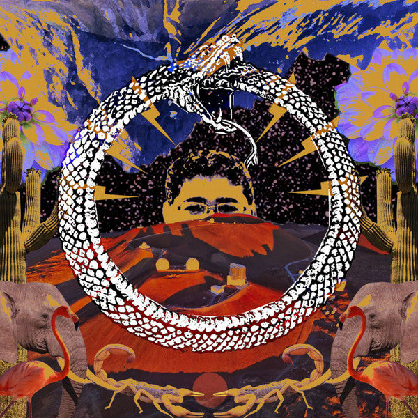 Stone House On Fire : Neverending Cycle (LP, Ltd, Red)