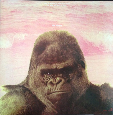 Hiro Yanagida Milk Time LP Black Vinyl Absinthe