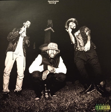 Flatbush Zombies Better Off Dead 2LP