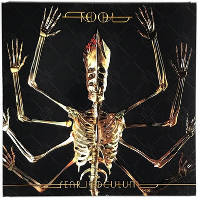 Tool Fear Inoculum 2LP vinyl - Burning World Mailorder