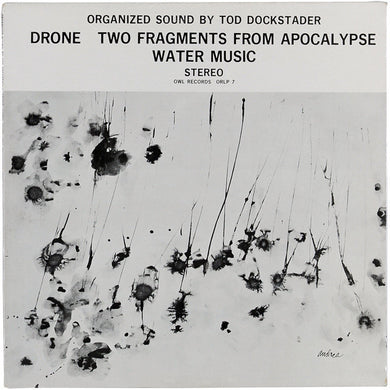 Tod Dockstader Drone; Two Fragments From Apocalypse; Water Music vinyl LP - Burning World Mailorder
