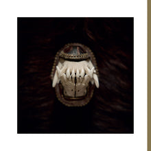Amenra De Toorn LP (Black Onyx Marble)