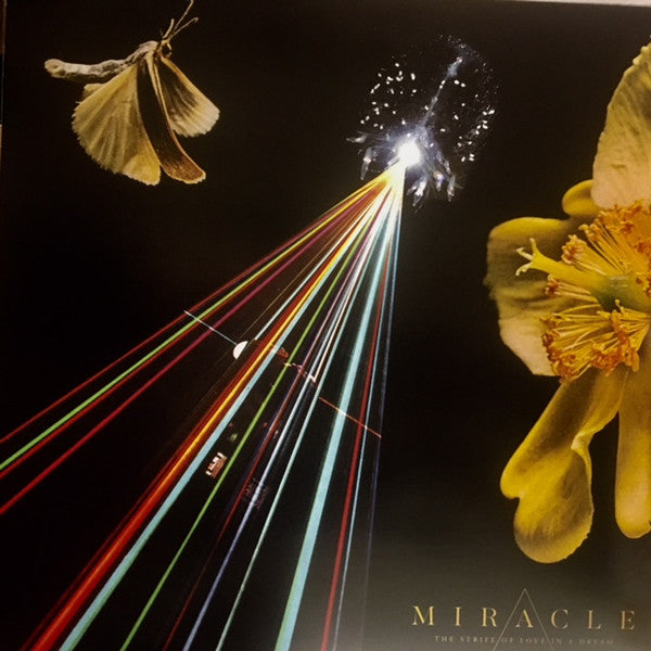 Miracle (11) : The Strife Of Love In A Dream (LP, Album)