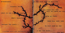 Nachtmystium : Instinct: Decay (CD, Album)